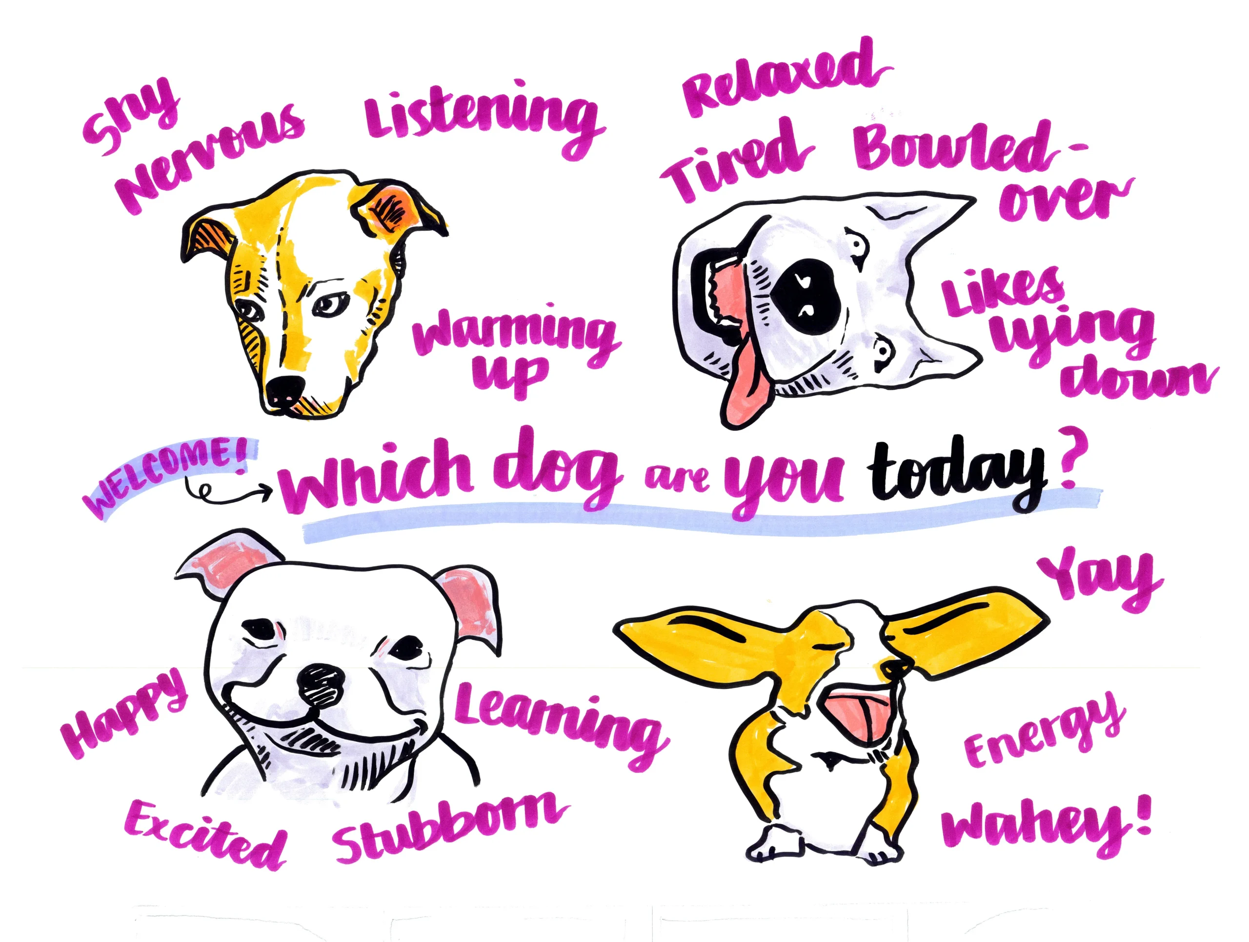 Word cloud for which dog you are today