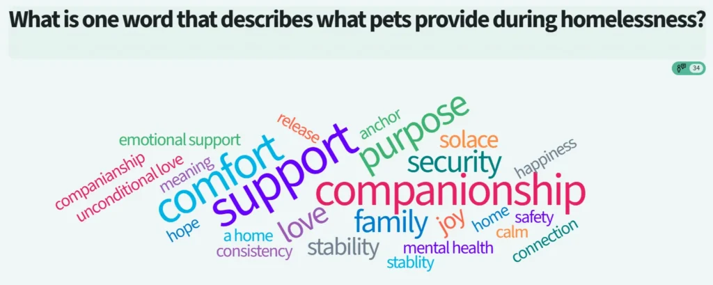 Homelessness word cloud