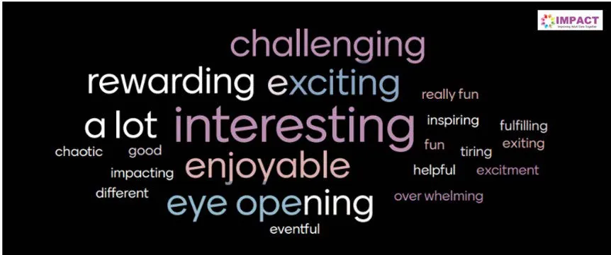 Wordle responses to social work experiences