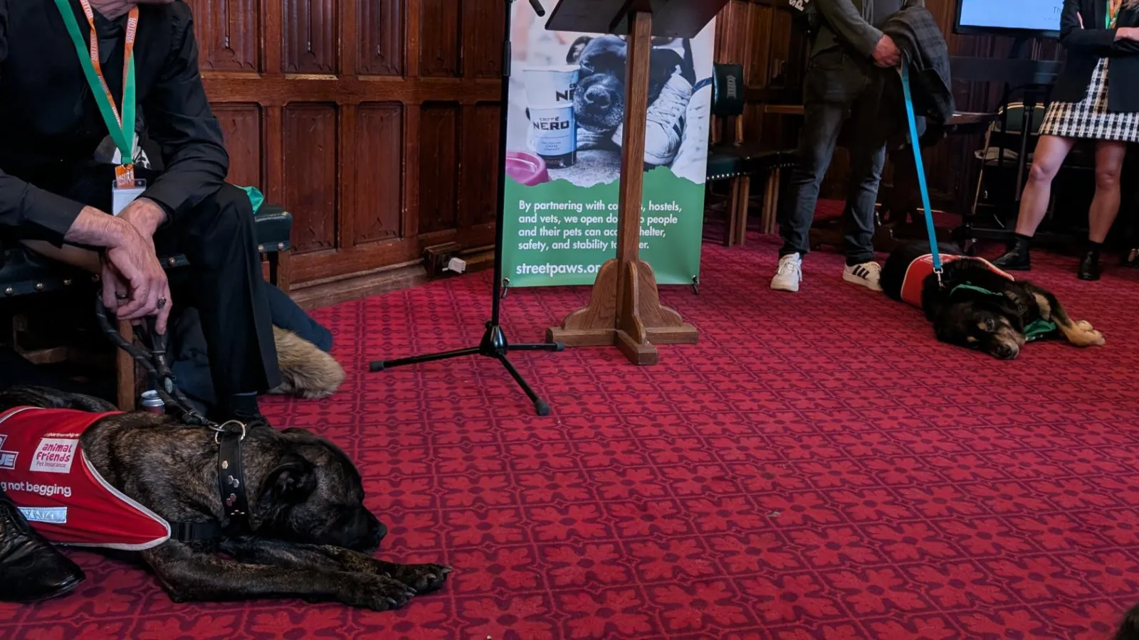 Two dogs at the Street Paws Parliamentary event